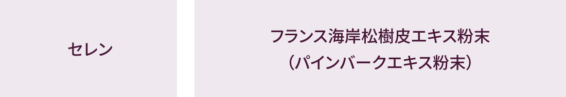 セレン フランス海岸樹皮エキス粉末（パインバークエキス粉末）